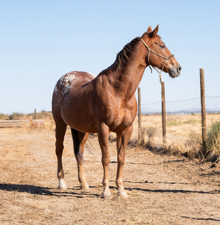 E609028B-14E1-4FF1-A876-C4A12354CC18