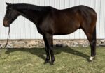 Hunter Prospect