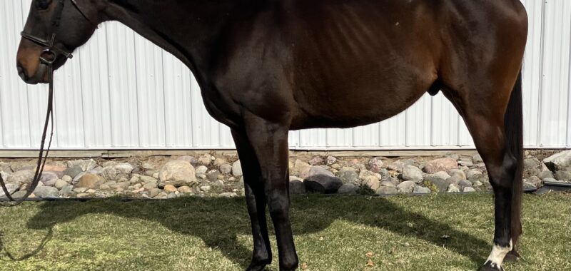 Hunter Prospect
