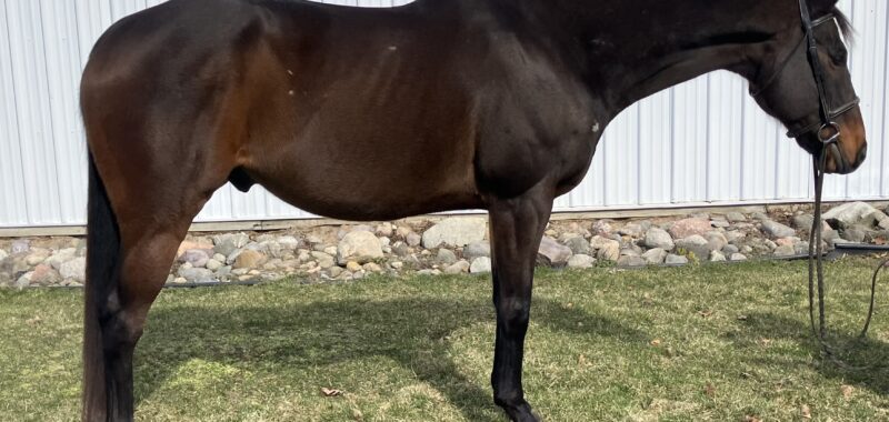 Hunter Prospect