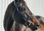 Hunter Prospect
