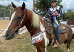 Gorgeous Spotted Saddle Horse