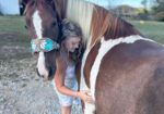 Gorgeous Spotted Saddle Horse