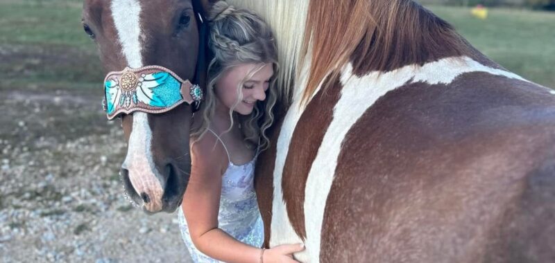 Gorgeous Spotted Saddle Horse
