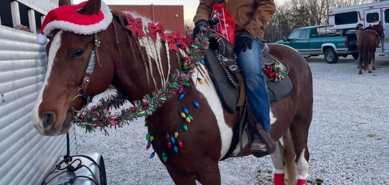 Gorgeous Spotted Saddle Horse