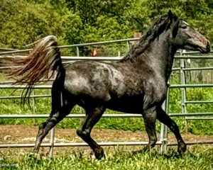 Liza-24-05-10