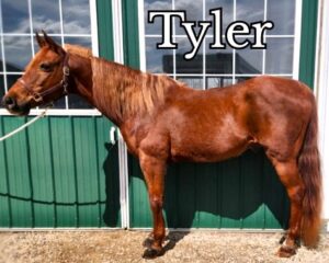 Tyler-1