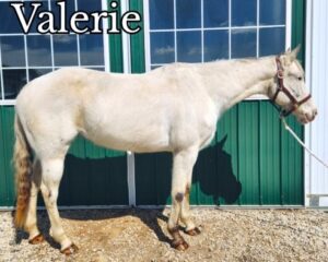 Valerie-1