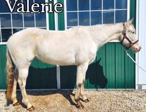 Valerie