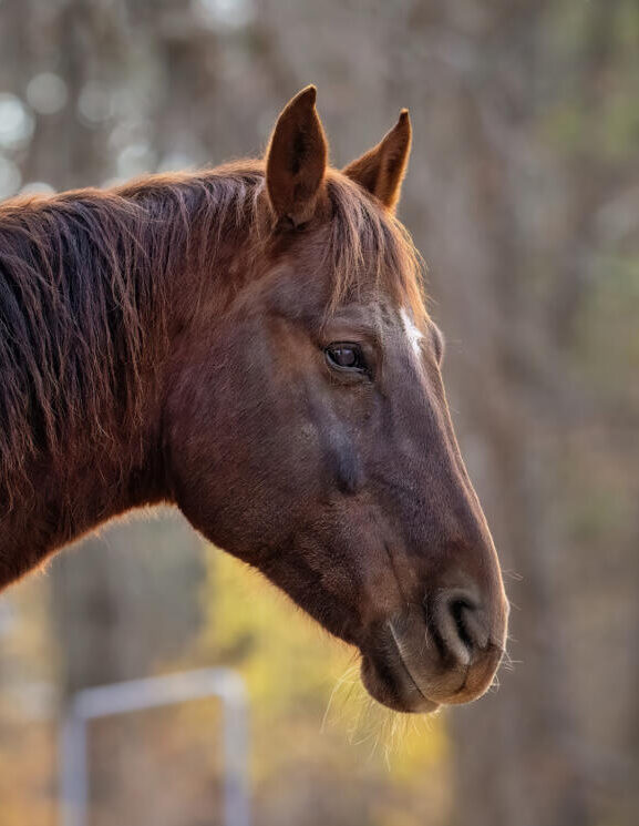 buster-e1741124887959