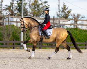 dreamhorse-small