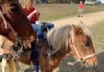 Perfect kids or therapy pony!