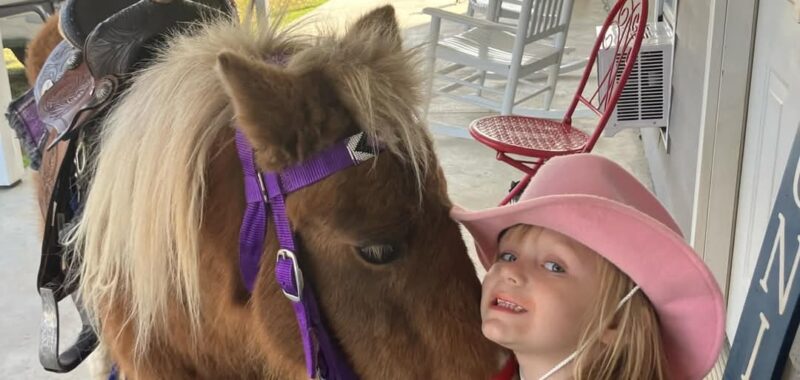 Perfect kids or therapy pony!