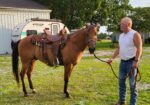 Registered Quarterhorse