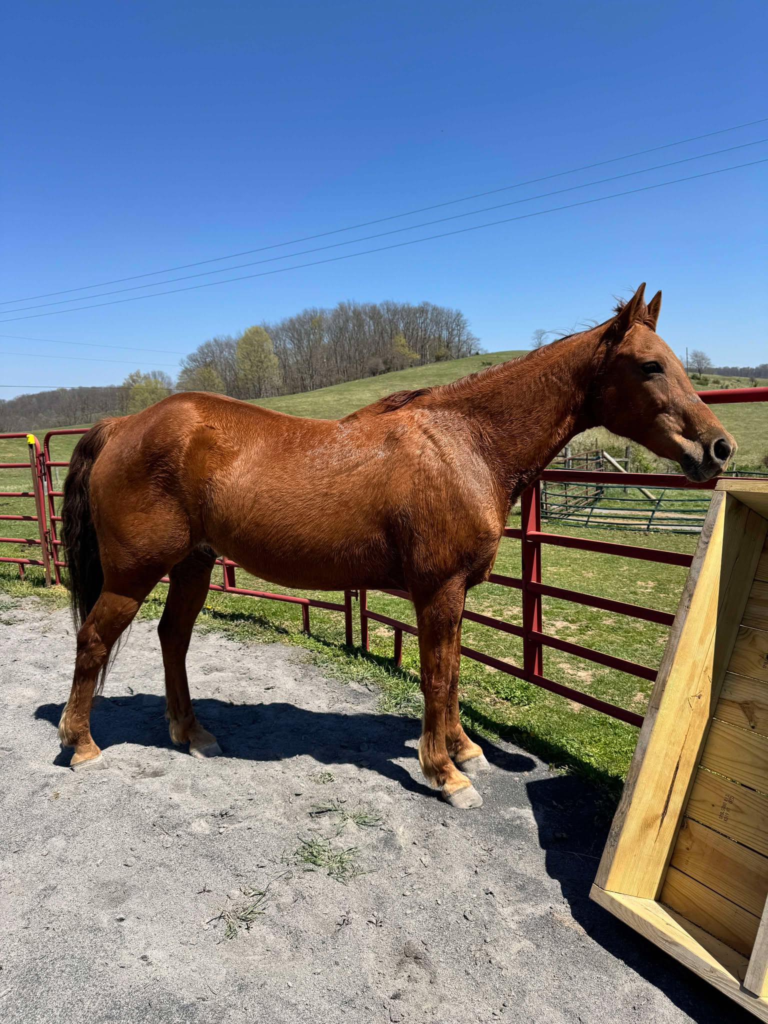 490998138_2101455373708363_8425017700148357764_n