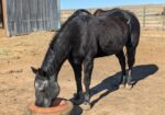 NOT TALL, BUT DARK AND HANDSOME LOOKING FOR HIS FOREVER FAMILY