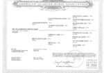 Registered Quarterhorse