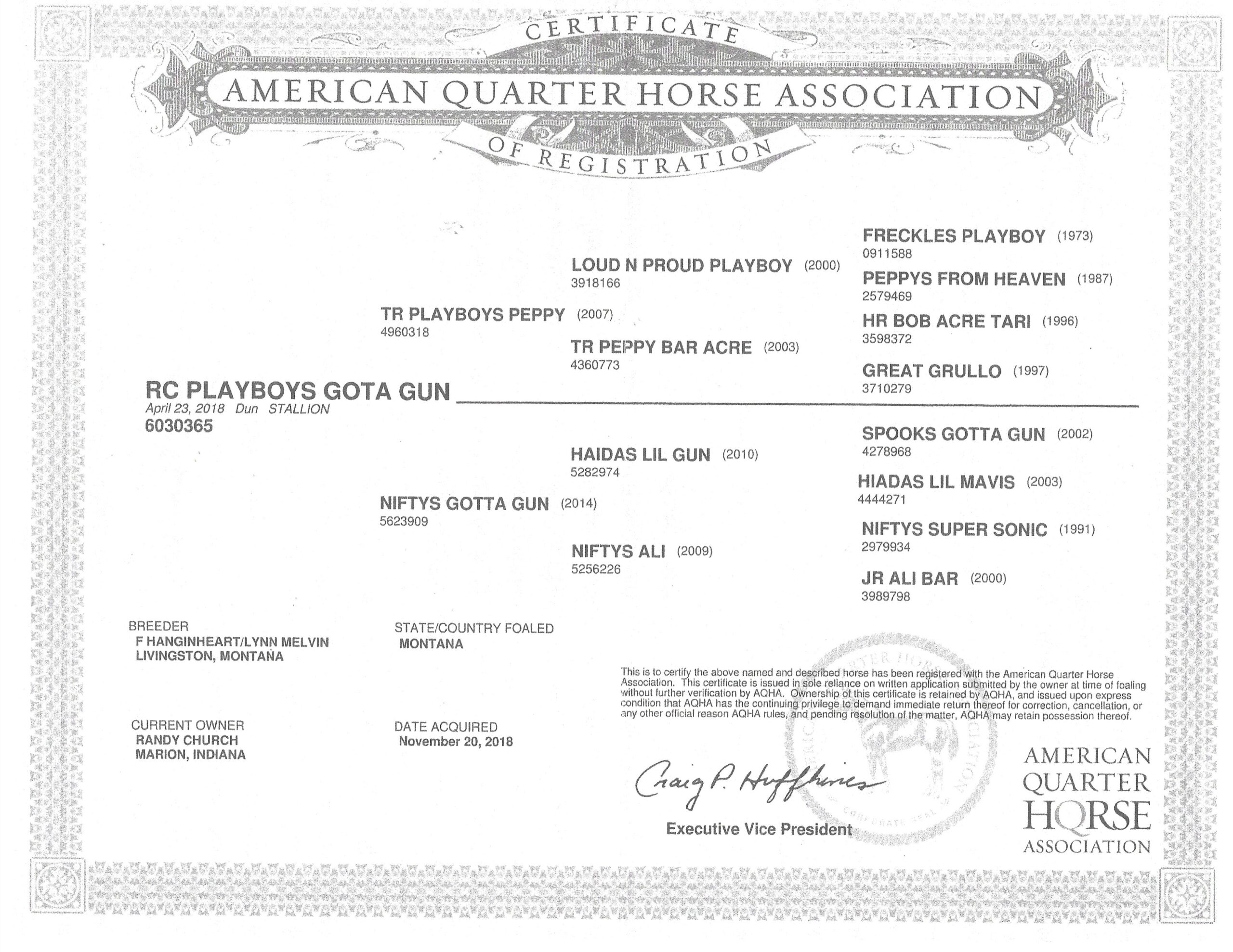 Registered Quarterhorse