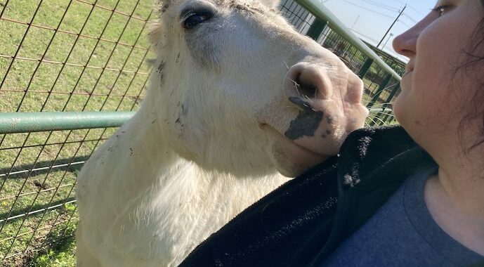 Pedro