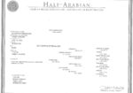 Registered half Arabian and half Quarter horse