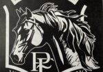 KFPS Colt Friesian