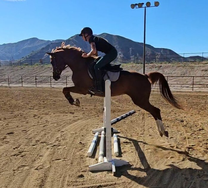 Screenshot-2025-04-21-124709