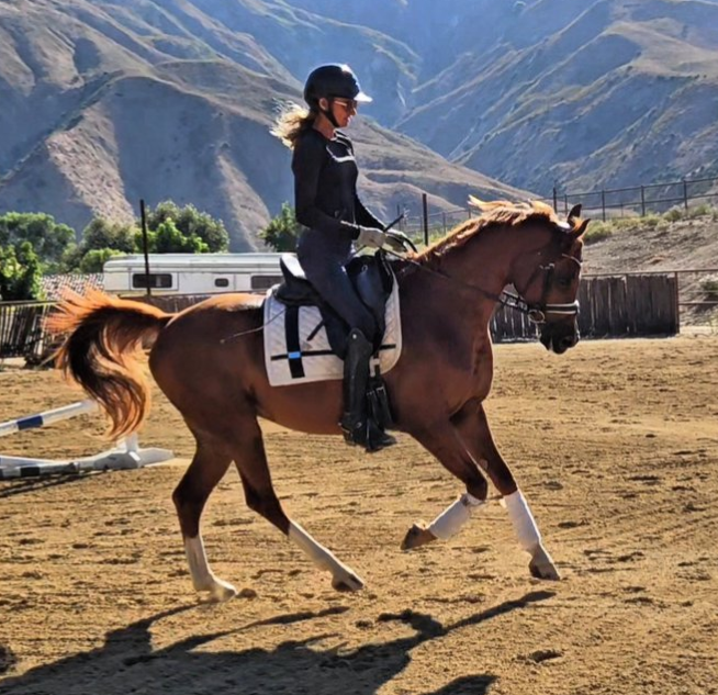 Screenshot-2025-04-21-124727