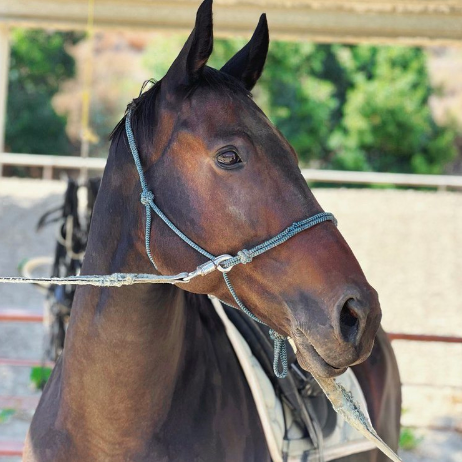 Screenshot-2025-04-21-131419