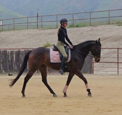 Screenshot-2025-04-21-131519