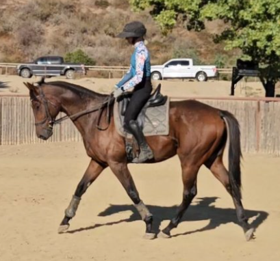 Screenshot-2025-04-21-132937