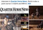 Salsa- yearling gray filly