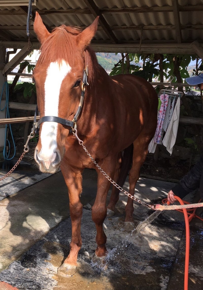 o0896127813809948990-1