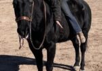NOT TALL, BUT DARK AND HANDSOME LOOKING FOR HIS FOREVER FAMILY
