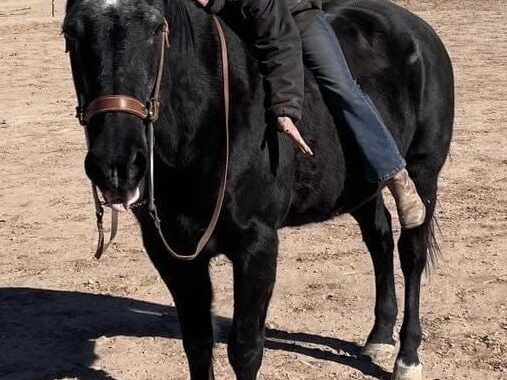 NOT TALL, BUT DARK AND HANDSOME LOOKING FOR HIS FOREVER FAMILY