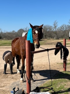 Jax – 10yr old DHH