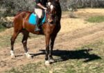 Jax – 10yr old DHH