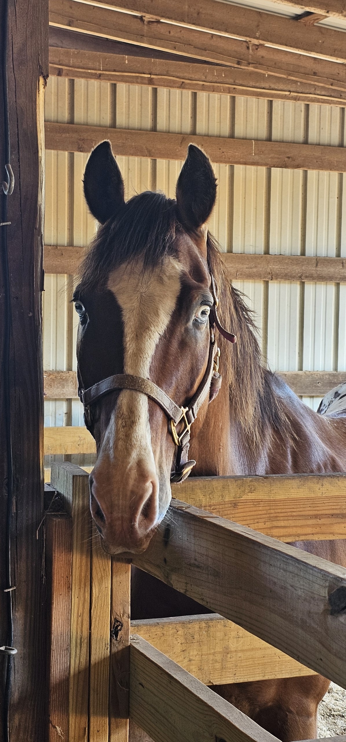 3494f014-c7c8-4308-a9bc-61a2a2f0d92e