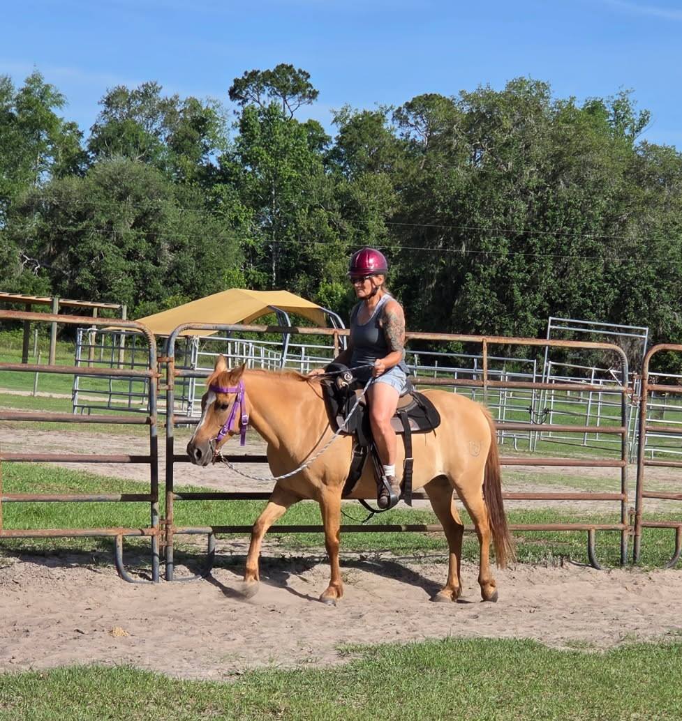 500557232_731312779220318_3038056455794371153_n