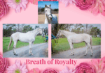 Breath of Royalty