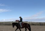 Heath – 7 year old Mustang