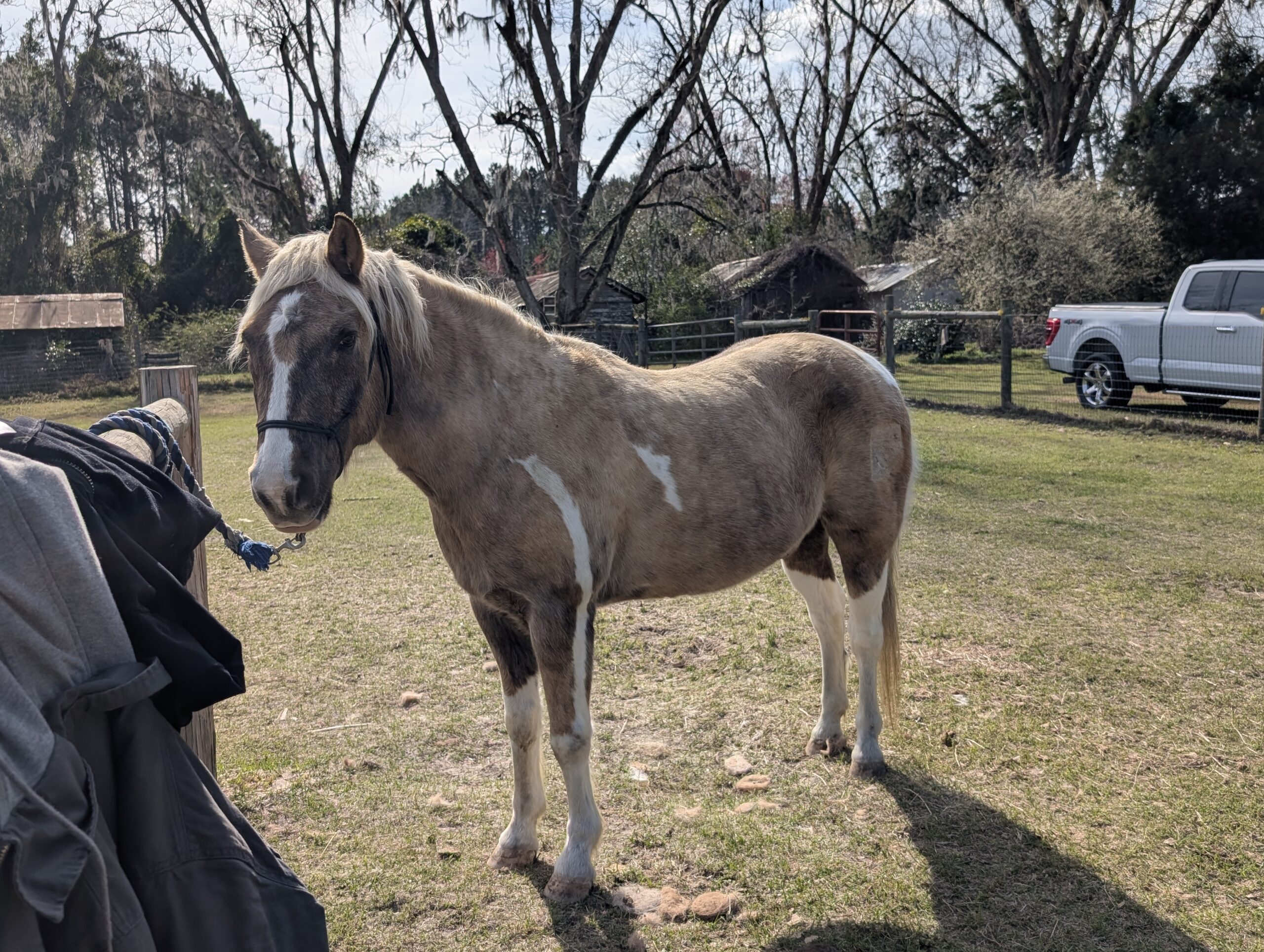 PXL_20250304_151139701.MP_