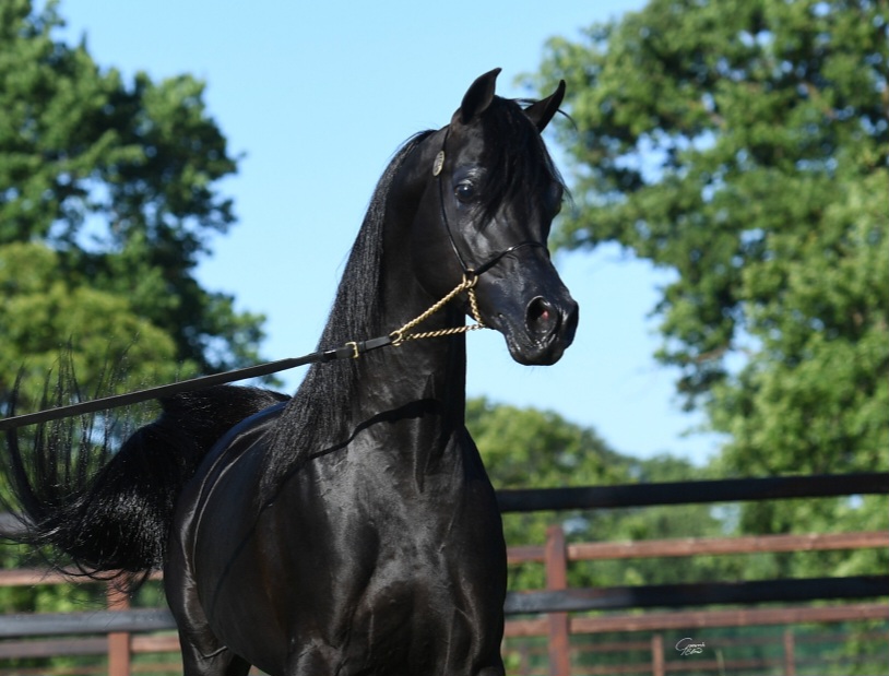 Screenshot_20250521_235918_Google