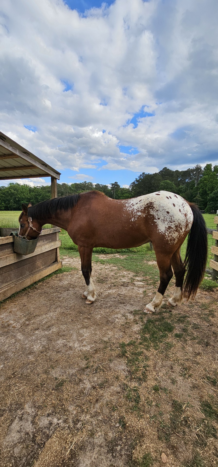 thumbnail_1000008978