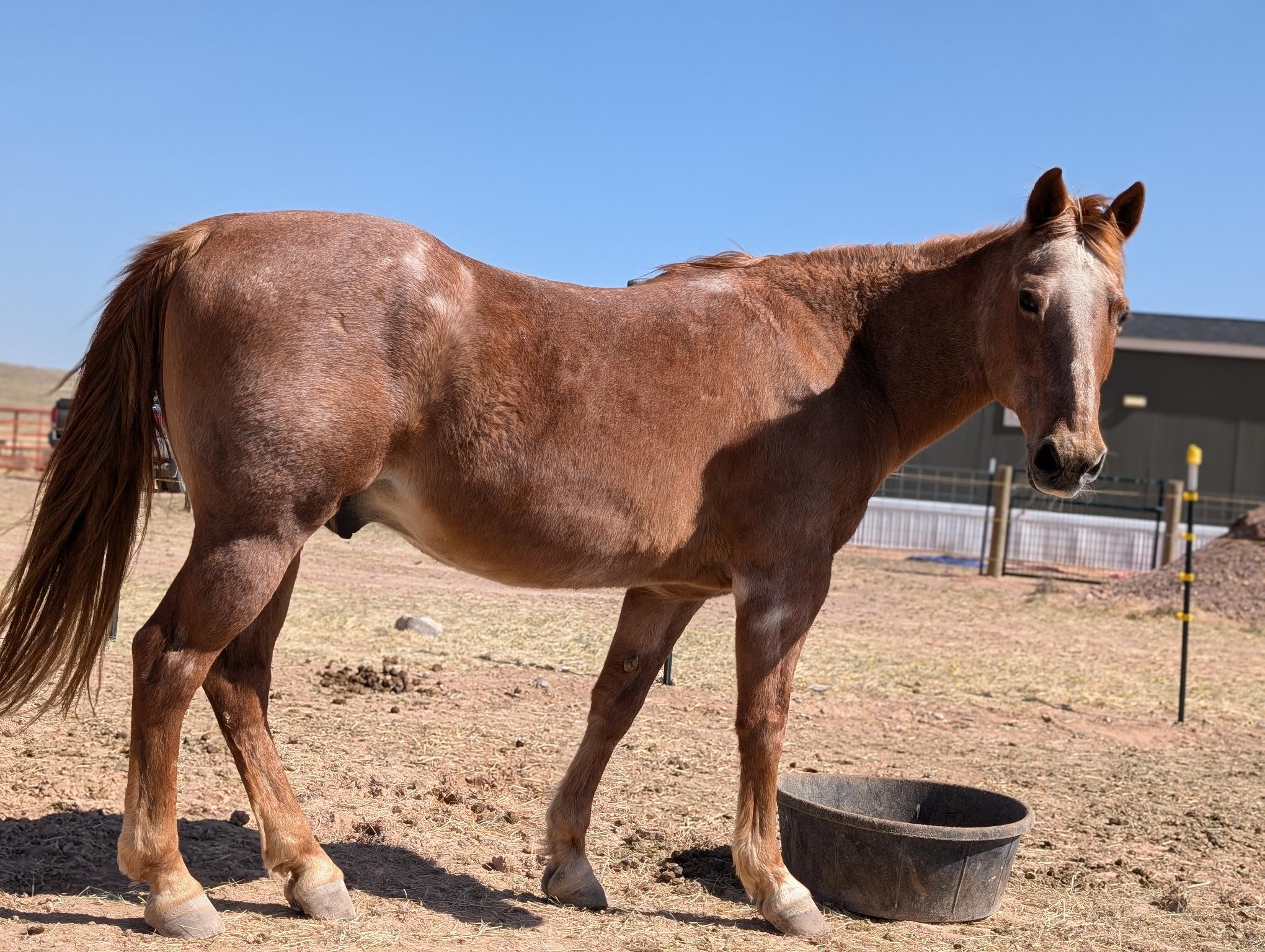 right-side-lower-4-11-25