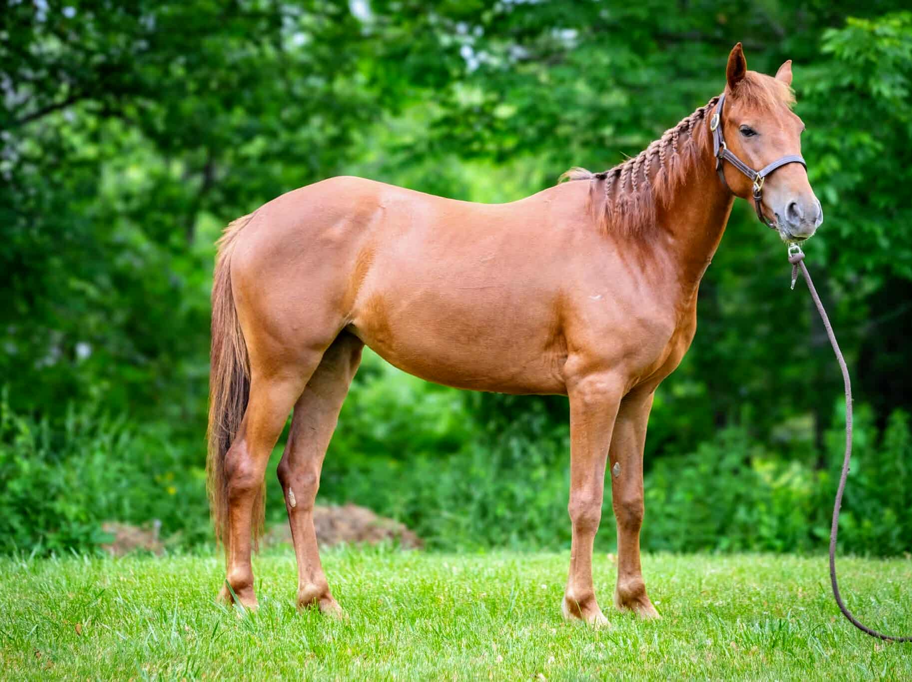 514641893_4068218406759036_7505936540473526409_n