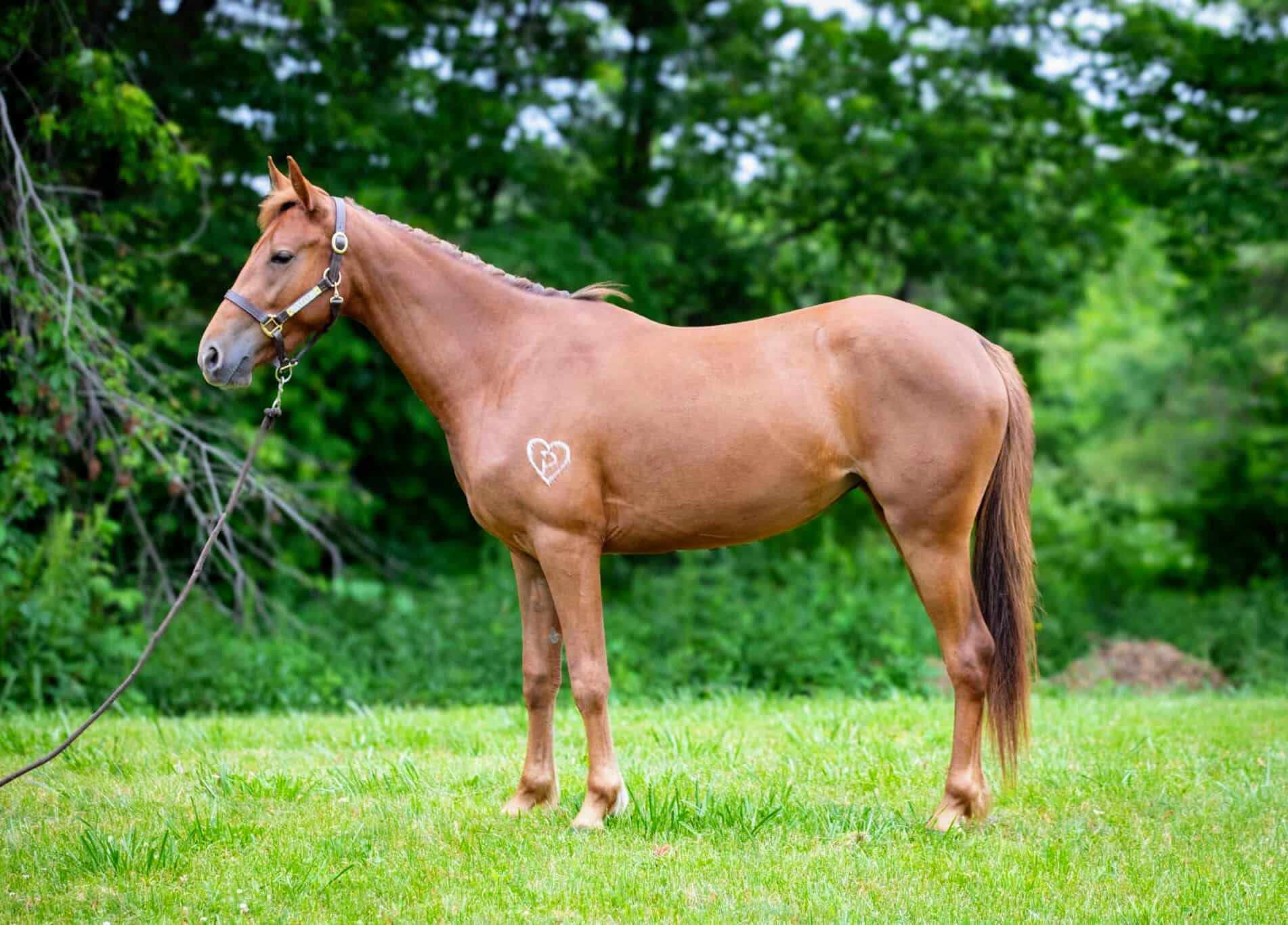 514694411_1886803842054220_1163814879522831878_n