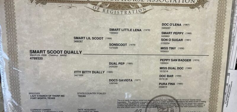 Smart-Scoot-Dually