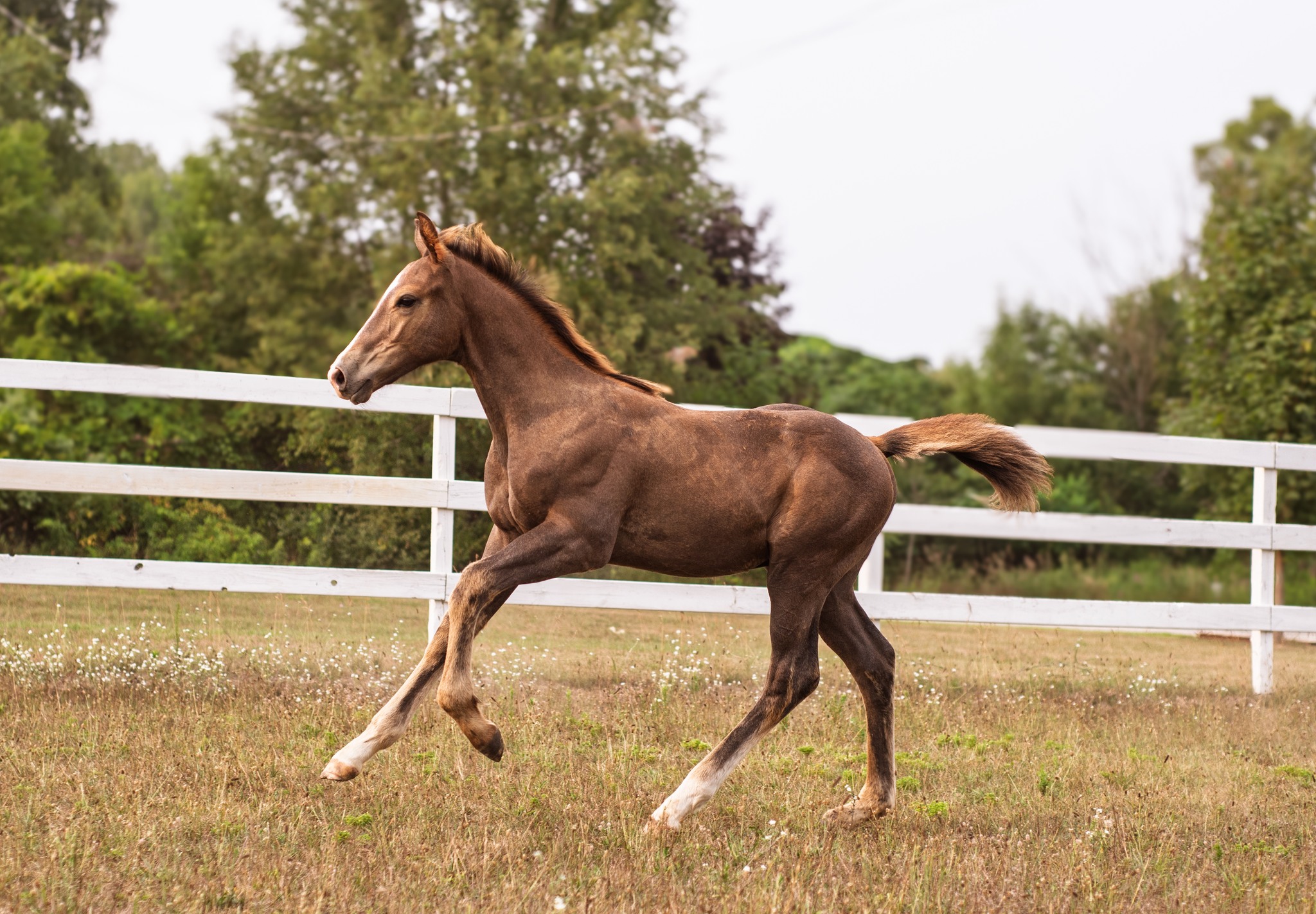 515491149_10100163308752785_1261071179289543208_n