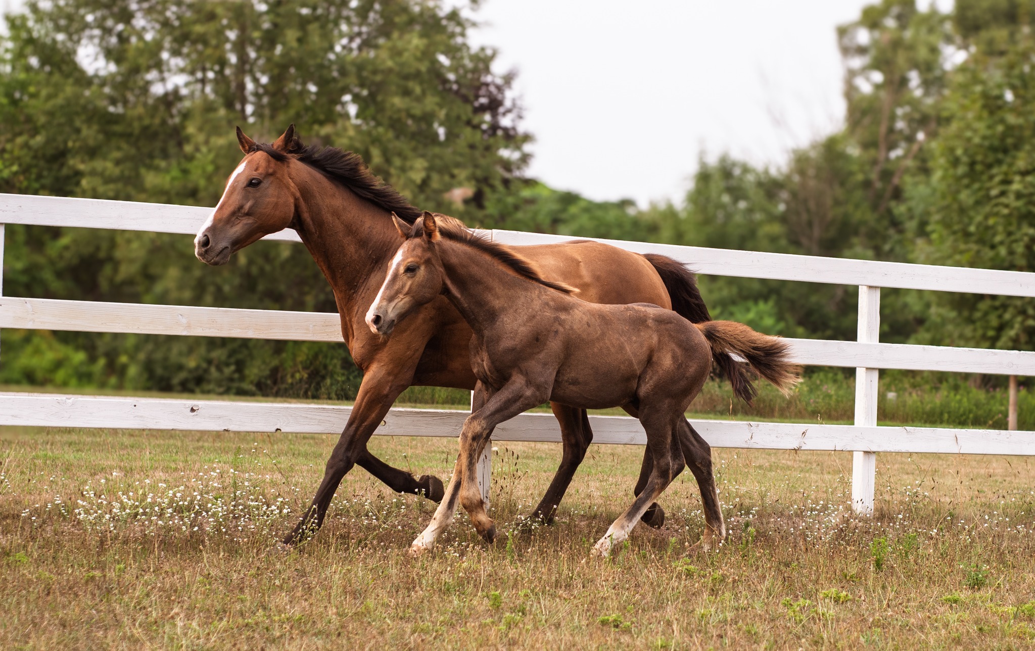 527774530_10100163309082125_8355771211238657287_n