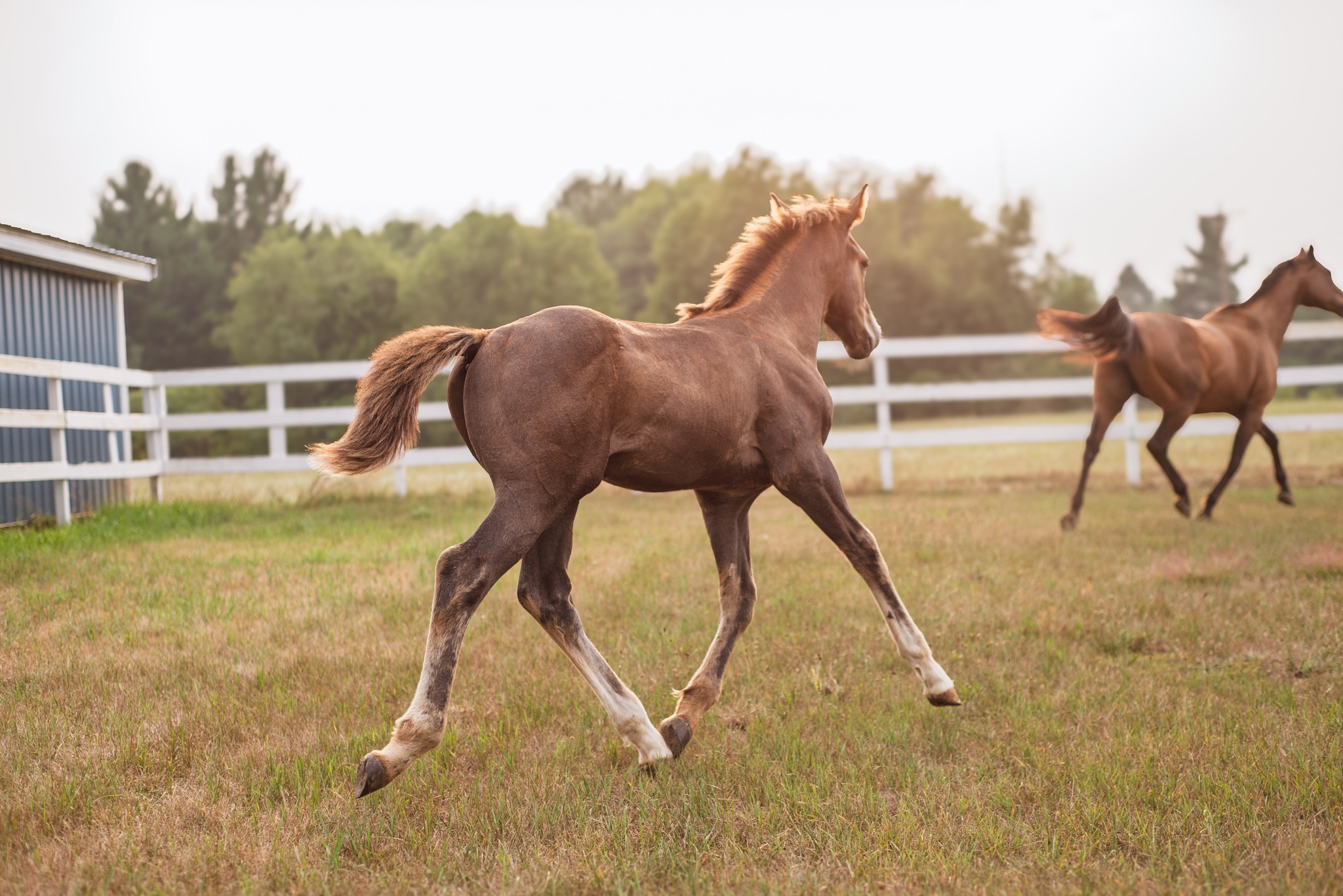 527776916_10100163310085115_5386945179814348526_n